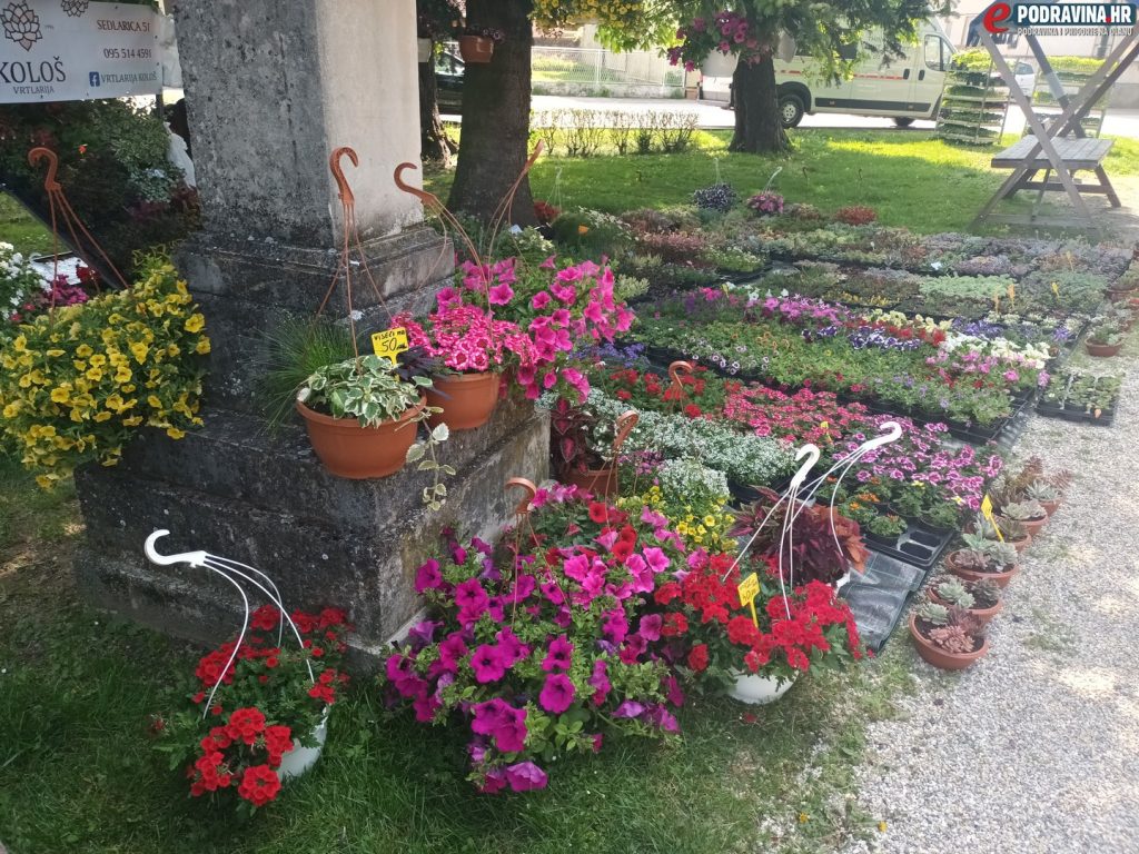 Sajam cvijeća Koprivnica