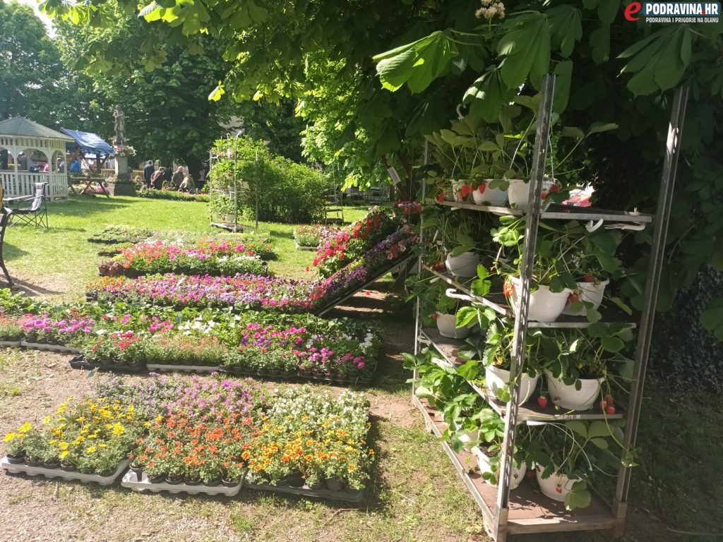 Sajam cvijeća Koprivnica